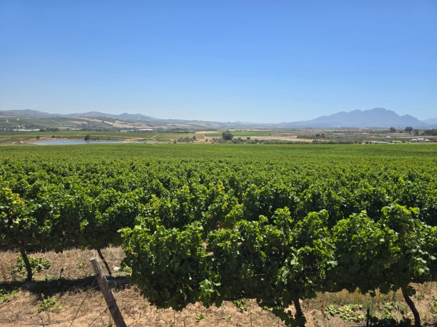 5 Bedroom Property for Sale in Stellenbosch Farms Western Cape